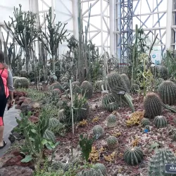 Xuzhou Botanical Garden - Xuzhou