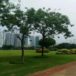 Binhai Forest Park - Yancheng