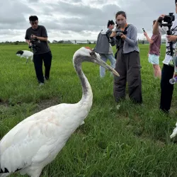 Sheyang Mangrove Nature Reserve - Yancheng
