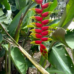 Xiangshan Park - Yangquan