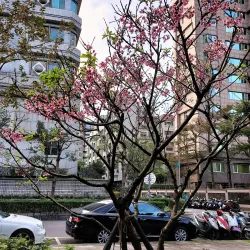 Xiangshan Park - Yangquan