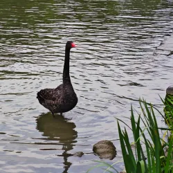 Slender West Lake Scenic Area - Yangzhou