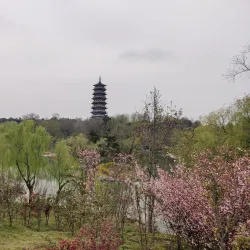 Slender West Lake - Yangzhou