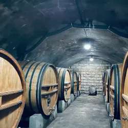 Changyu Wine Culture Museum - Yantai