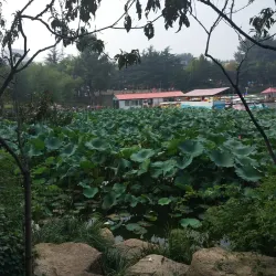 Nanshan Park - Yantai