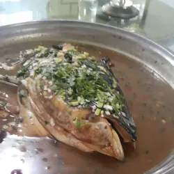 Yantai University Botanical Garden - Yantai