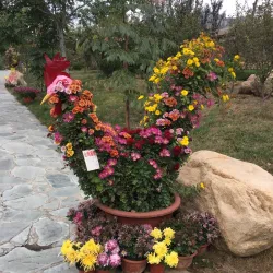 Zhaoyuan Gold Museum - Yantai