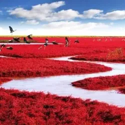 Liaohe River Scenic Area - Yingkou