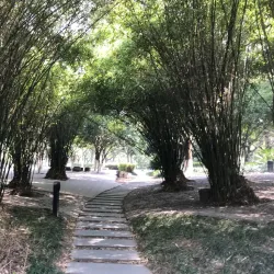 Yiwu People's Park - Yiwu