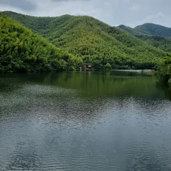 Yixing Bamboo Forest - Yixing