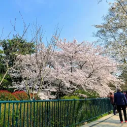 Dazhongshan Park - Zaozhuang