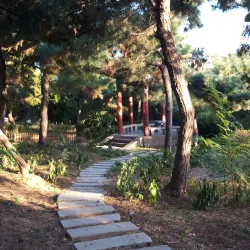 Dazhongshan Park - Zaozhuang