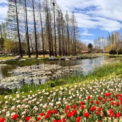 Dazhongshan Park - Zaozhuang