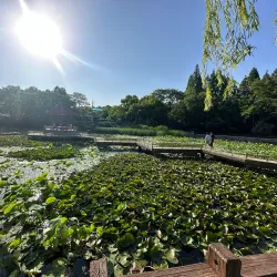 Dazhongshan Park - Zaozhuang