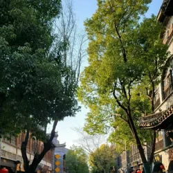 Zaozhuang Grand Theater - Zaozhuang