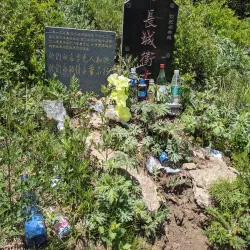 Zhangbei Grassland - Zhangjiakou