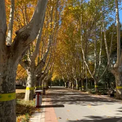 Zhangzhou Botanical Garden - Zhangzhou