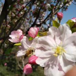 Zhangzhou Botanical Garden - Zhangzhou