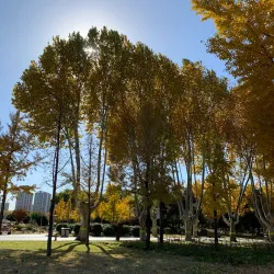 Zhangzhou Botanical Garden - Zhangzhou