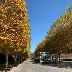 Zhangzhou Botanical Garden - Zhangzhou