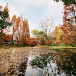 Guangdong Zhaoqing Forest Park - Zhaoqing
