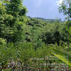 Yongshan Ancient Town - Zhaotong