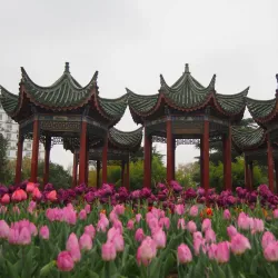 Zhengzhou People's Park - Zhengzhou