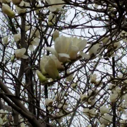 Zhengzhou People's Park - Zhengzhou