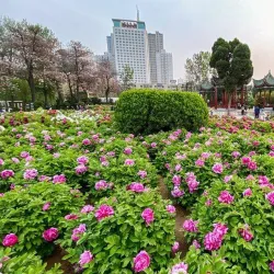 Zhengzhou People's Park - Zhengzhou