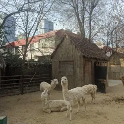 Zhengzhou Zoo - Zhengzhou