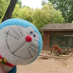 Zhengzhou Zoo - Zhengzhou