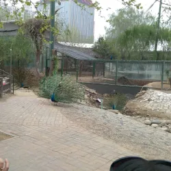 Zhengzhou Zoo - Zhengzhou