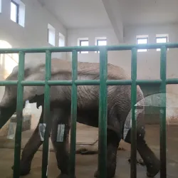 Zhengzhou Zoo - Zhengzhou