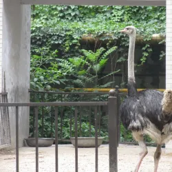 Zhengzhou Zoo - Zhengzhou