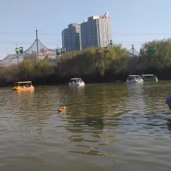 Zhengzhou Zoo - Zhengzhou