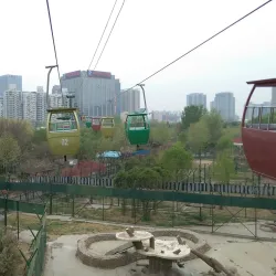 Zhengzhou Zoo - Zhengzhou