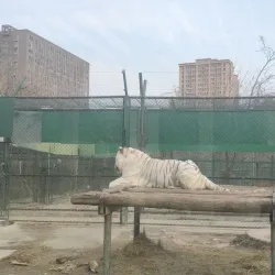 Zhengzhou Zoo - Zhengzhou