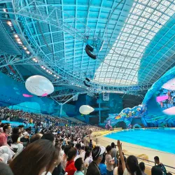 Chimelong Ocean Kingdom - Zhuhai