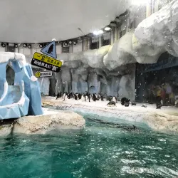 Chimelong Ocean Kingdom - Zhuhai
