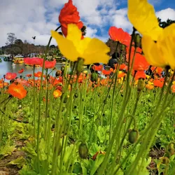 Haibin Park - Zhuhai