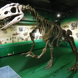 Zhuhai Museum - Zhuhai