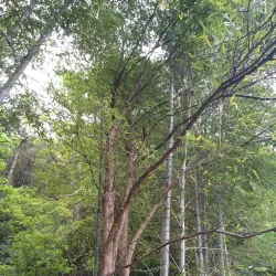 Nanxi River Scenic Area - Zhuji