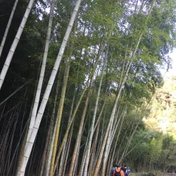 Nanxi River Scenic Area - Zhuji