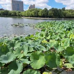 Shengli Park - Zhuji