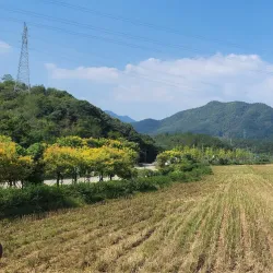 Zhuji Ancient City Wall - Zhuji