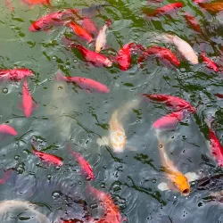 Zibo Ancient Kiln Site - Zibo