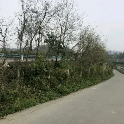 Zunyi Old Town - Zunyi