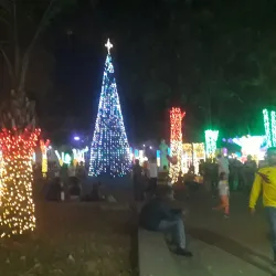 Arauca Cathedral (Catedral de Arauca) - Arauca