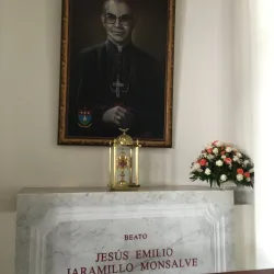 Arauca Cathedral (Catedral de Arauca) - Arauca