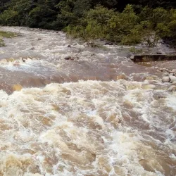 Arauca River - Arauca